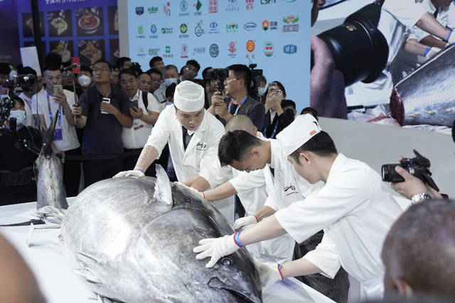 13c25176382506615655c19e02931b55_w640.jpg 13c25176382506615655c19e02931b55_w640.jpg