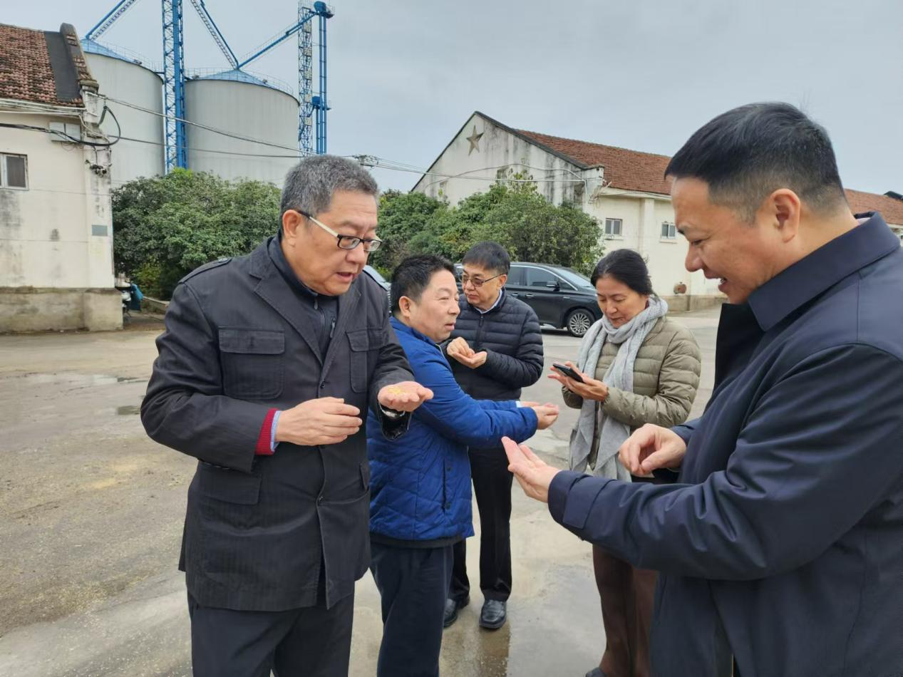 外部董事2.png 外部董事2.png