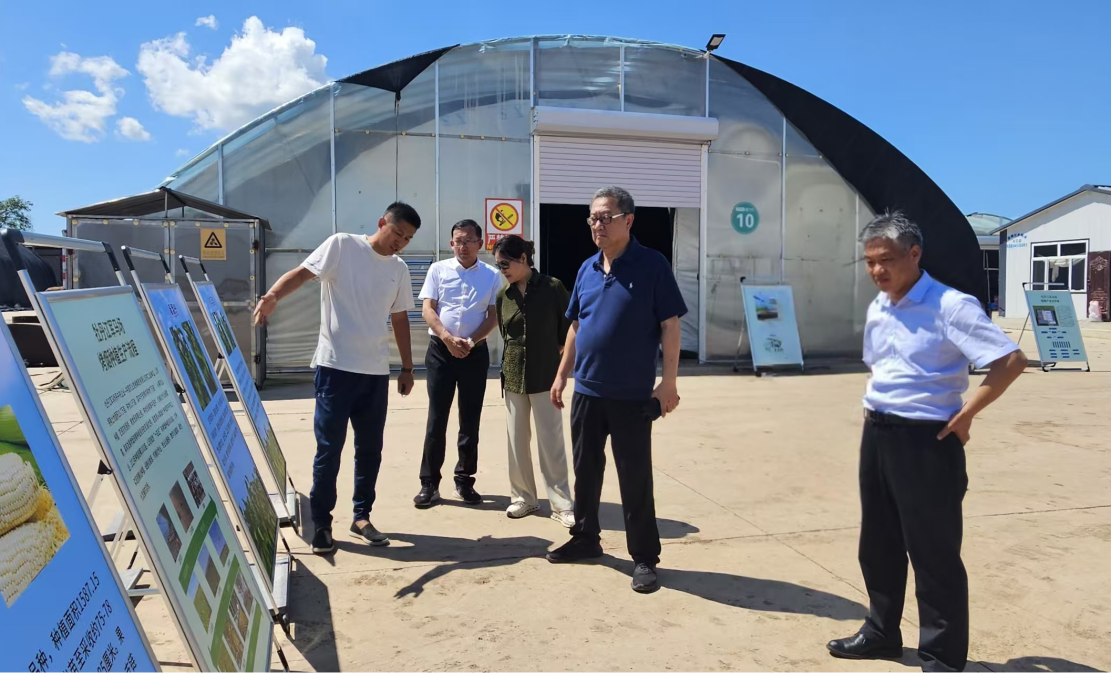 图片4.png 图片4.png